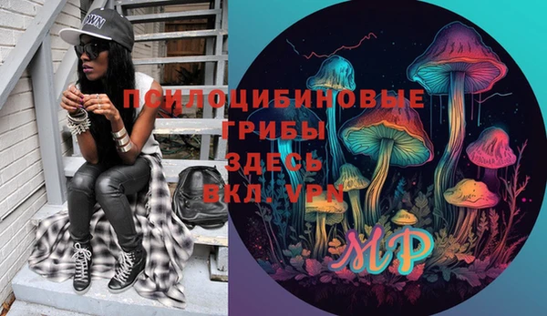apvp Алзамай