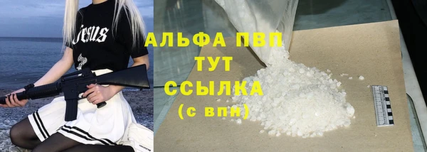 apvp Алзамай