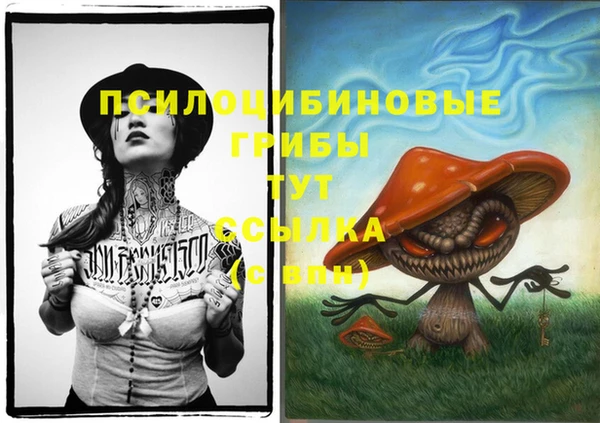 винт Алексин