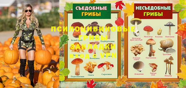 apvp Алзамай