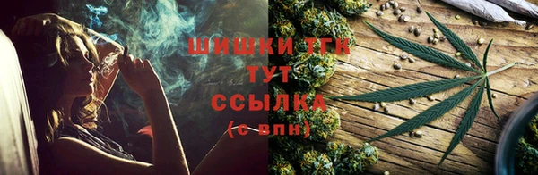 apvp Алзамай