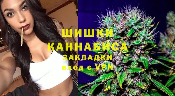 винт Алексин